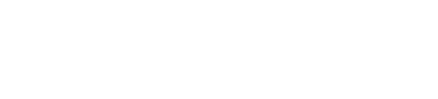 Renaud Partners